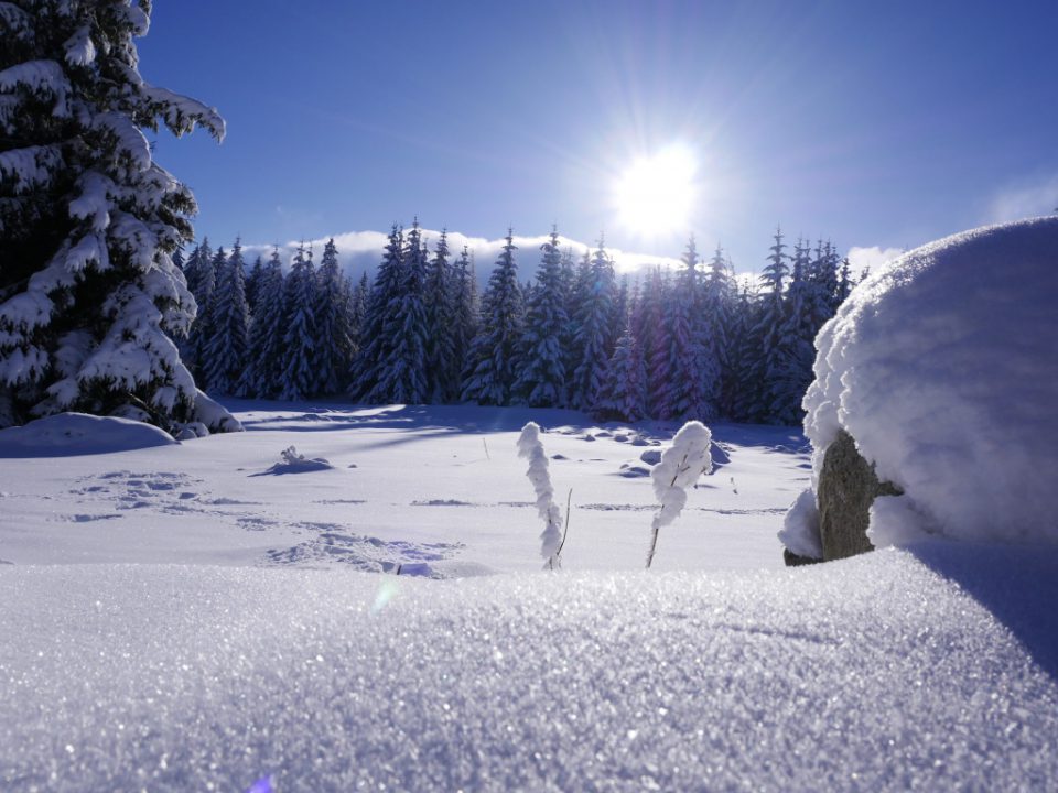 snowy landscape in cold weather